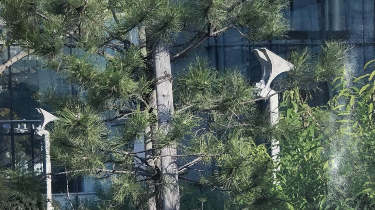 Kockum Sonics Vogelschutz Universität Bonn